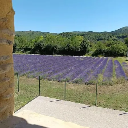 Villa Le Cocon D'adrien *