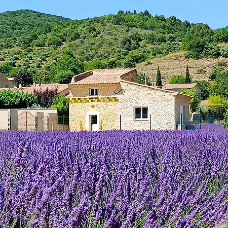 Le Cocon D'adrien Villa *