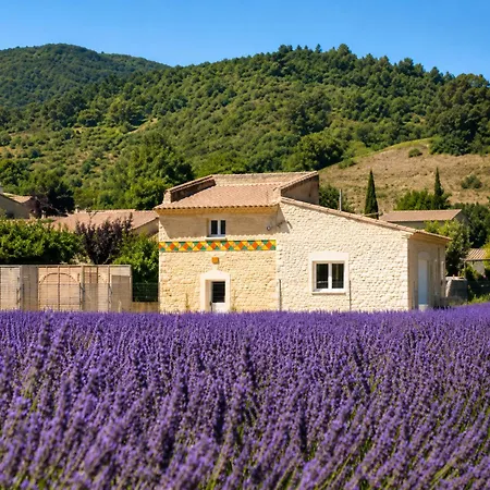 Le Colombier D'adrien *