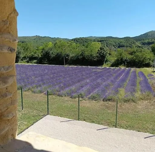 Villa Le Cocon D'adrien *