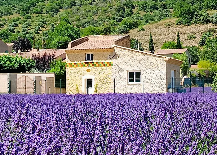 Le Cocon D'adrien Villa *